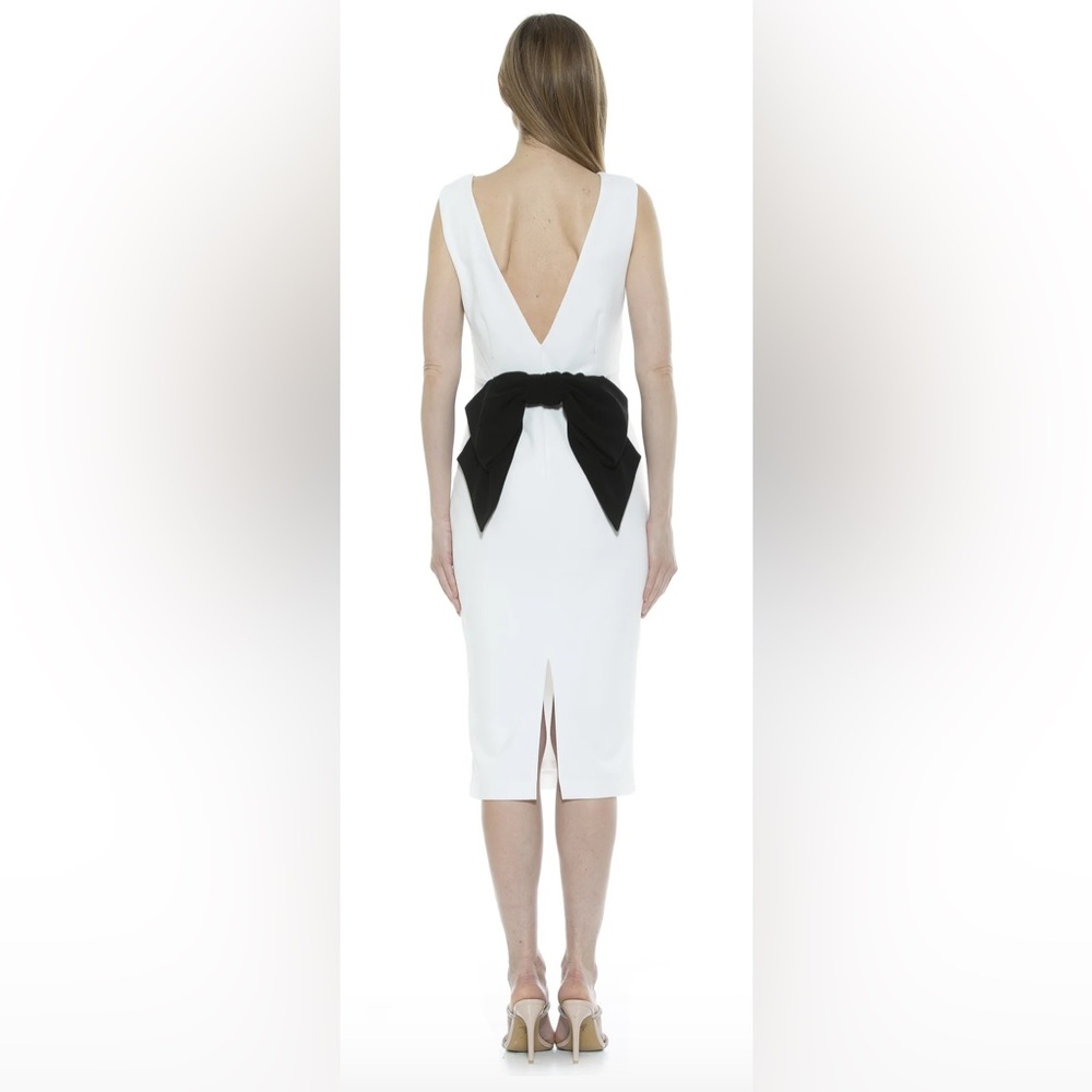 Alexia Admor Penny Dress